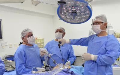 Simpósio comemora os 20 anos da videolaparoscopia no Hospital de Amor