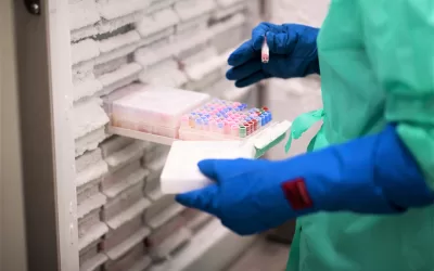 St. Jude e HA apresentam descoberta que pode mudar manejo de pacientes oncológicos