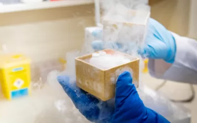 Oncogenética: conheça o trabalho desenvolvido pelo Hospital de Amor