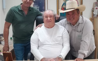 Palmeira d’Oeste – SP