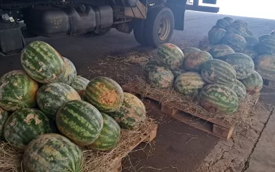 Vista Alegre do Alto (SP)